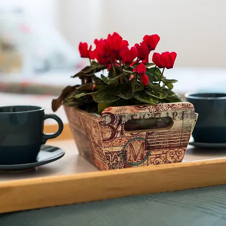 Апартаменты Sea View And 350m To The