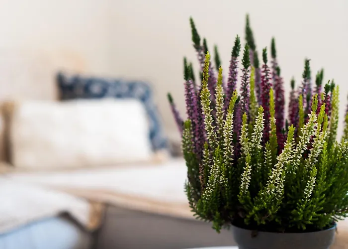 Sea View And 350m To The * Torremolinos