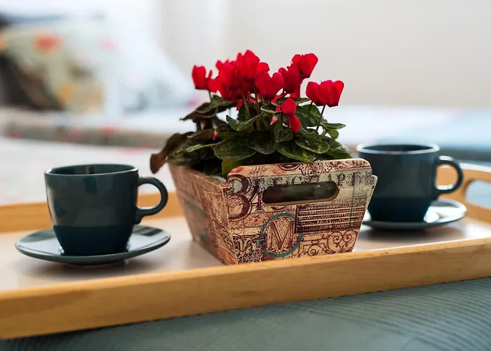 Appartement Sea View And 350m To The