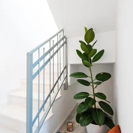 Appartement Sea View And 350m To The *