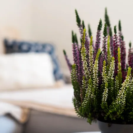 Sea View And 350m To The * Torremolinos