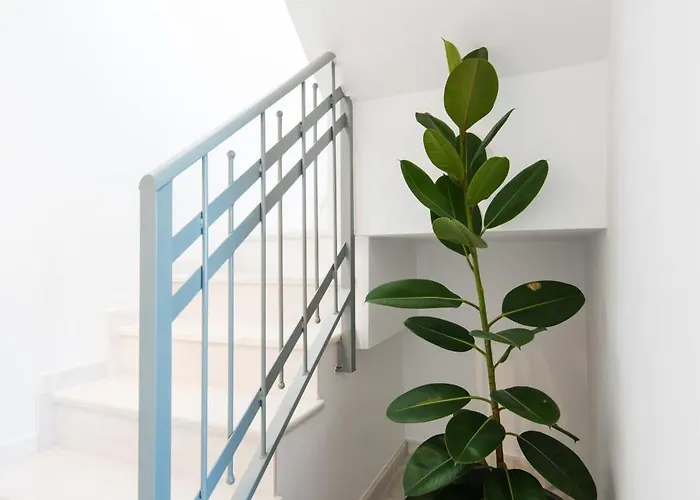 Apartamento Sea View And 350m To The *